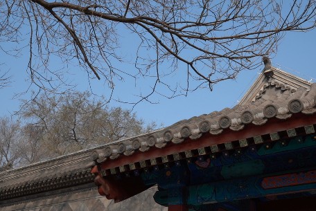 城市更新中的文化策略：北京四合院与老城的记忆重构