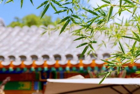 北京四合院里的生活哲学：北京人的居住智慧