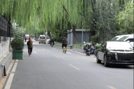 莲花胡同 - 隐藏着无数充满故事与历史的胡同